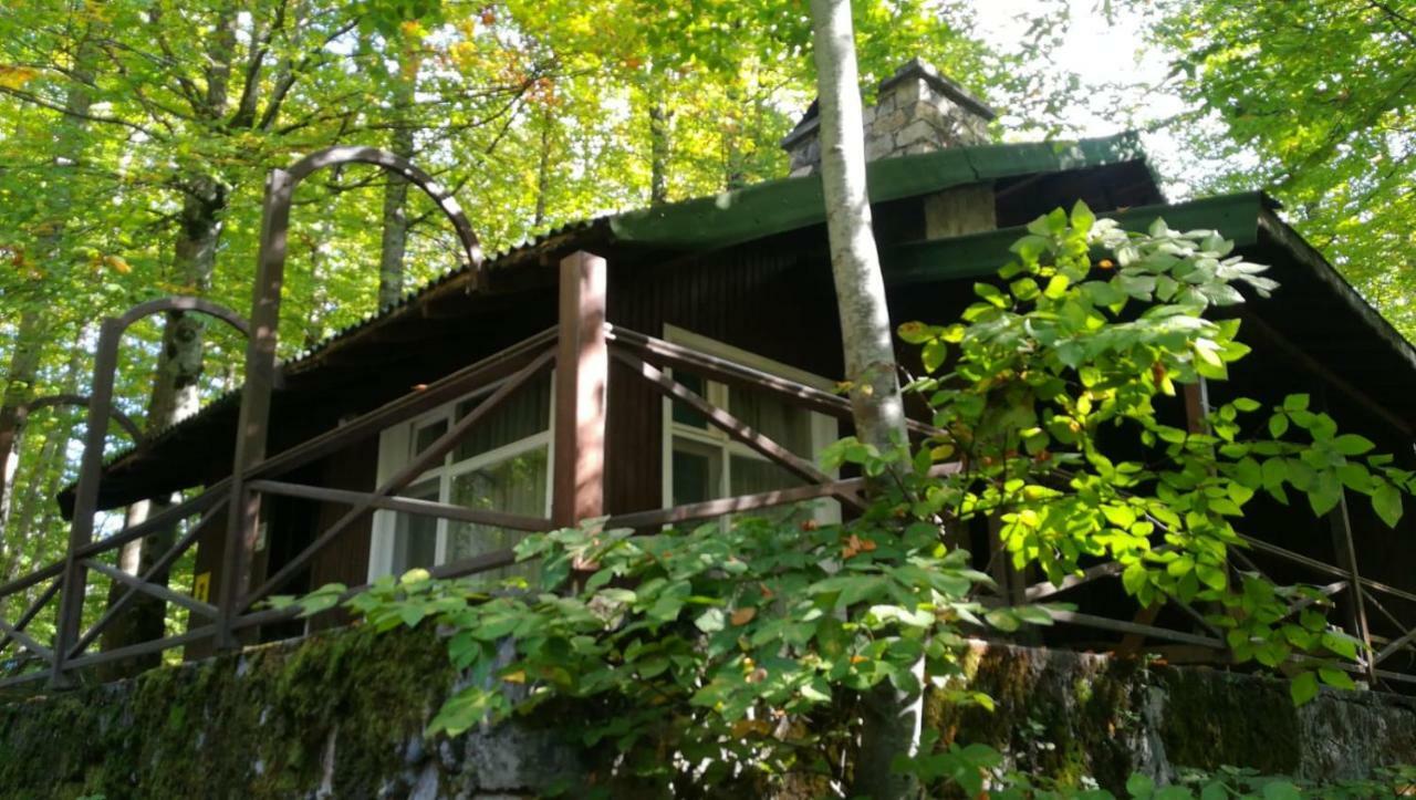 Maison d'hôtes Habitat Mesire à Mengen Extérieur photo