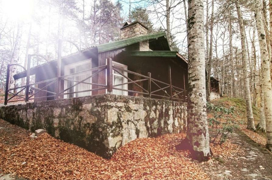 Maison d'hôtes Habitat Mesire à Mengen Extérieur photo